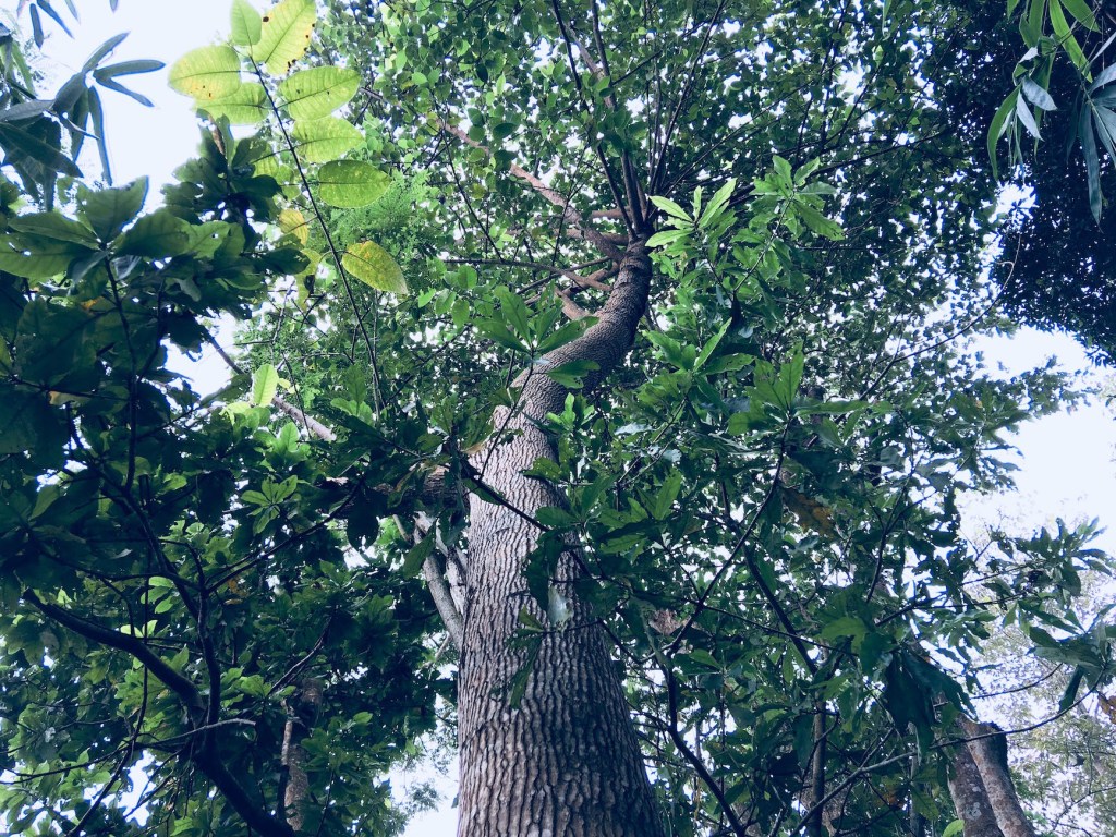 今日はお題が思いつかないので