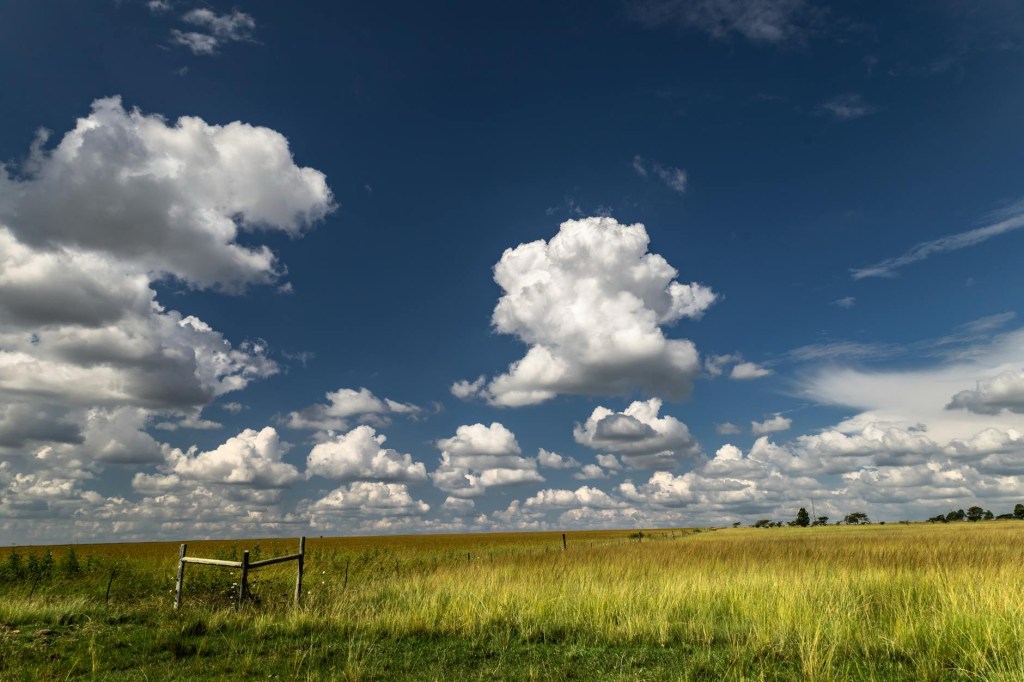 天候と天気は違うらしい