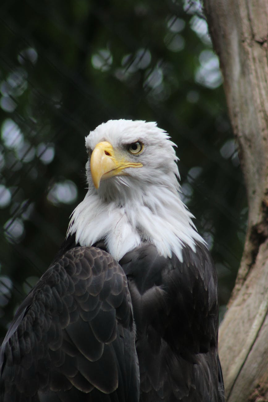自分軸を大切にできる。