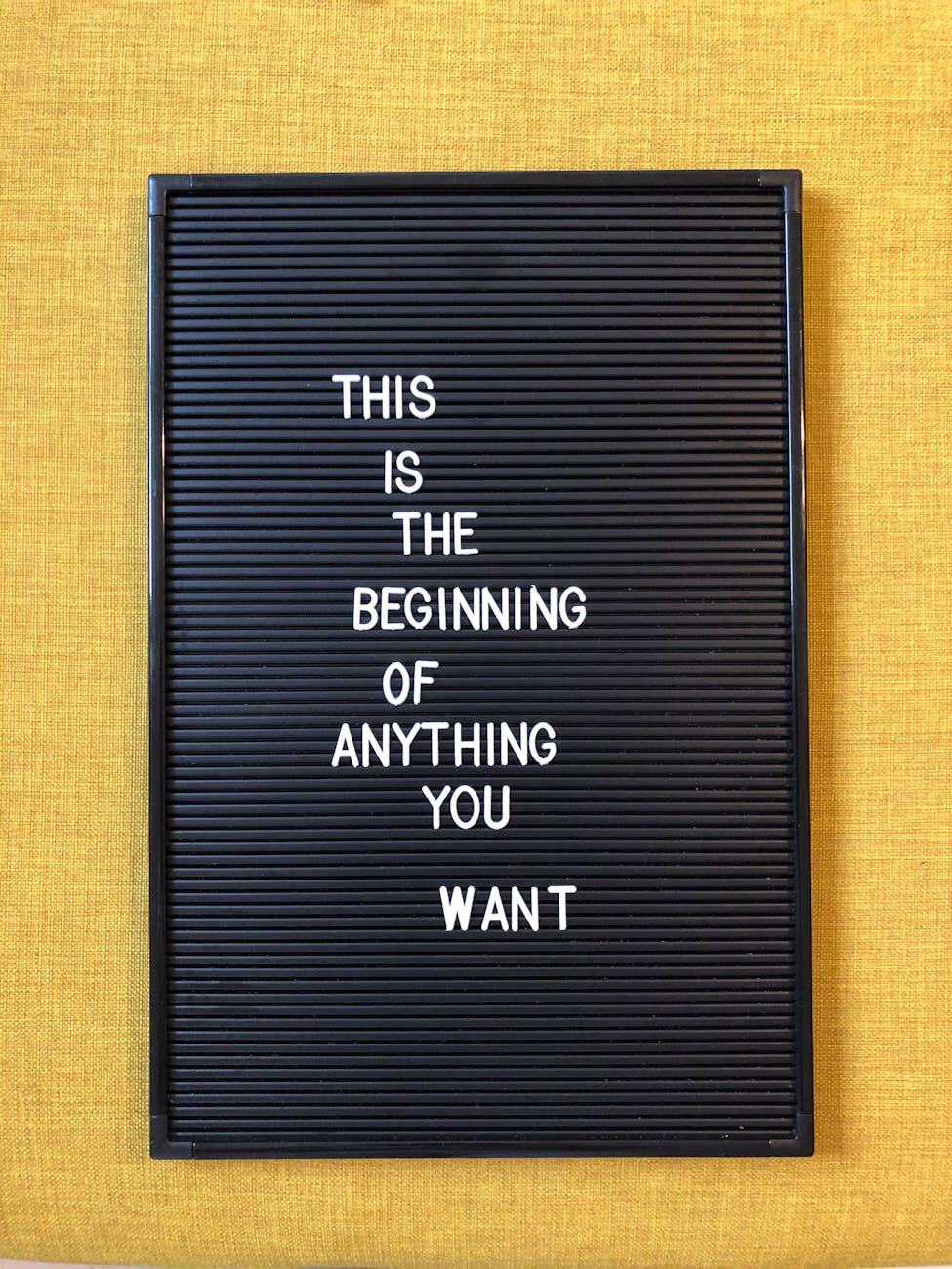 甲乙付け難い。