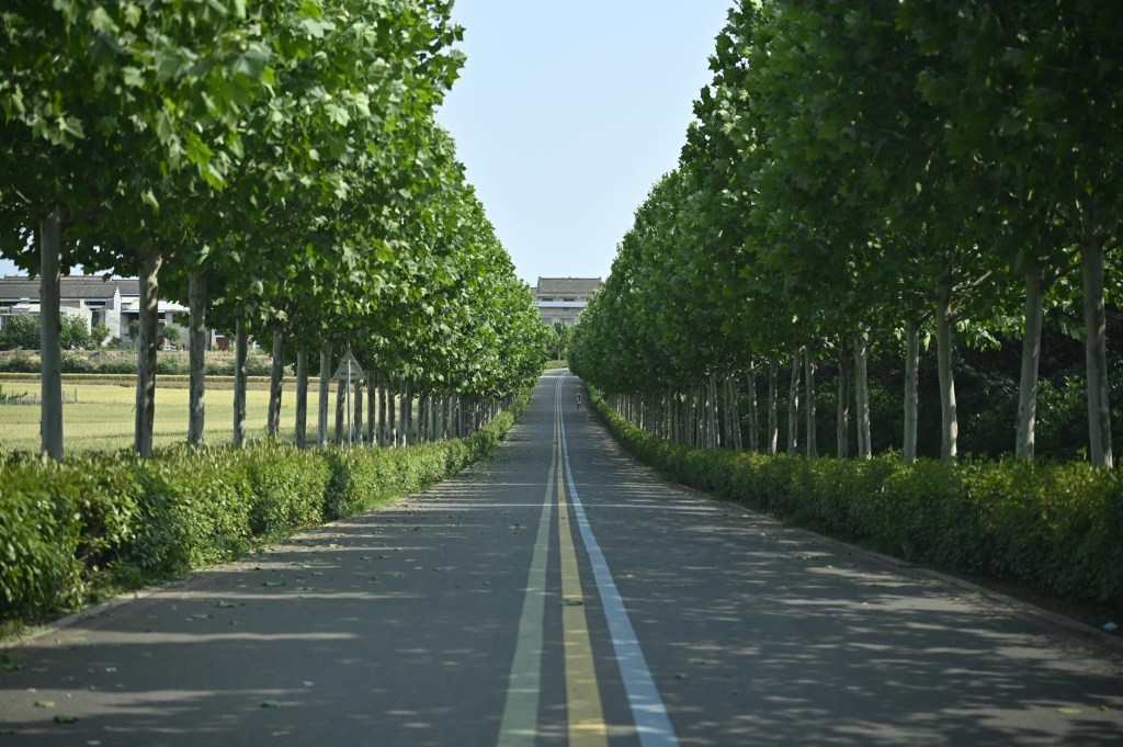 1stキャリアを捨てる事から