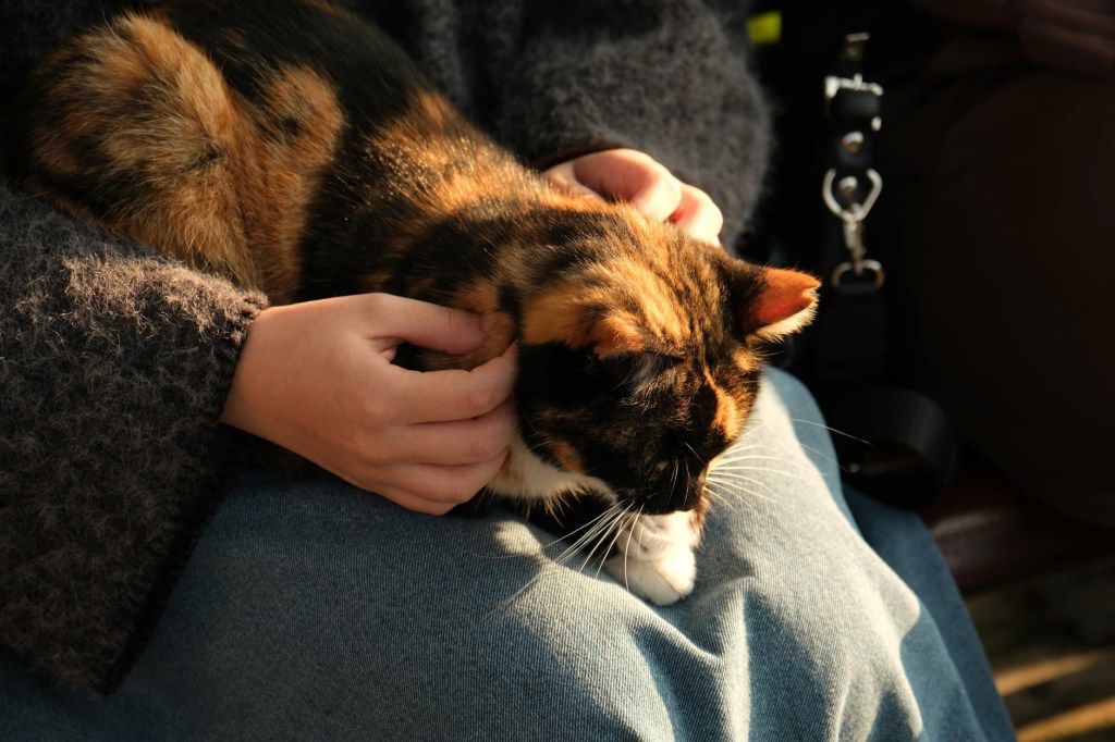 手間を相殺して余りある