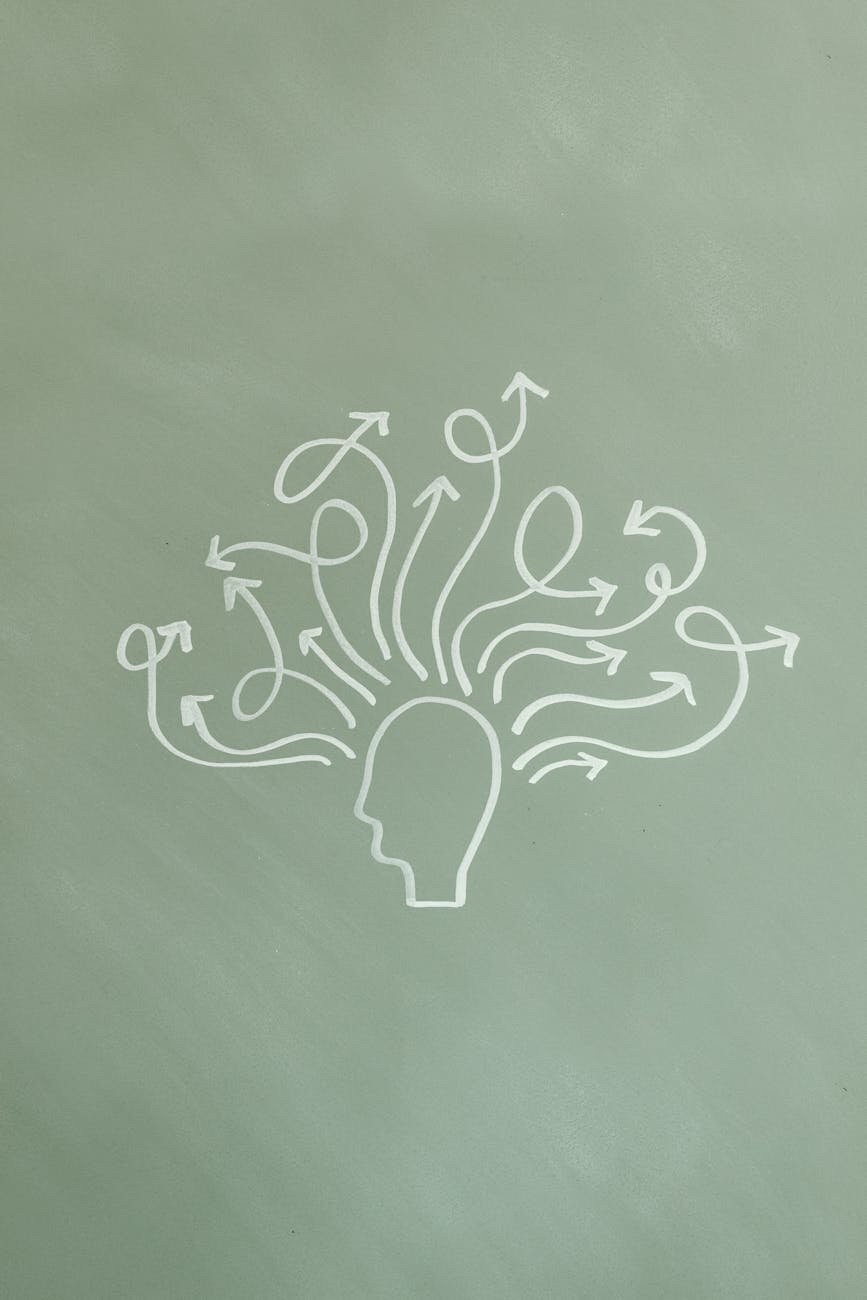 経済的意思決定（economic decision-making）